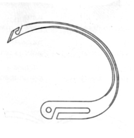 Young Needle only Fig. 2
