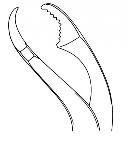 Bandage Scissors