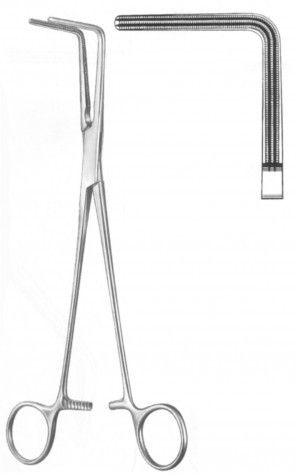 Lees Bronchus Forceps 25 cm

