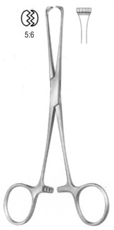 Boys-Allis Tissue Forceps (5x6th) 15 cm
