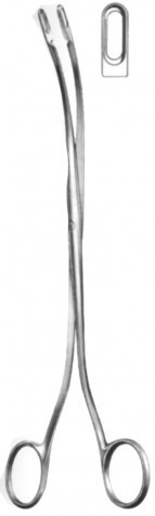 Desjardin Gall Stone Forceps (Fig.1) 23 cm
