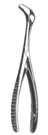 Tieck-Halle Nasel Specula 13.5 cm
