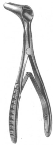 Mod.Wien Nasel Specula 14.5 cm
