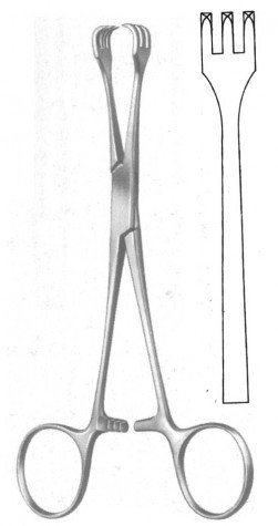 Lahey Grasping Forceps 20 cm
