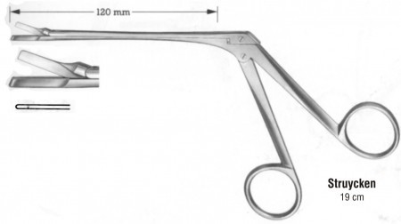 Struycken Nasel Cutting Forceps (Fig.2) (12 cm Shaft) 19 cm
