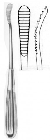 Aufricht Nasel Rasp Upward 21 cm
