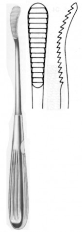 Aufricht Nasel Rasp Downward 21 cm

