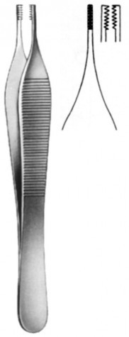 Adson Brown Tissue Forceps 12 cm 

